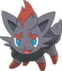 Zorua