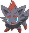 Zorua